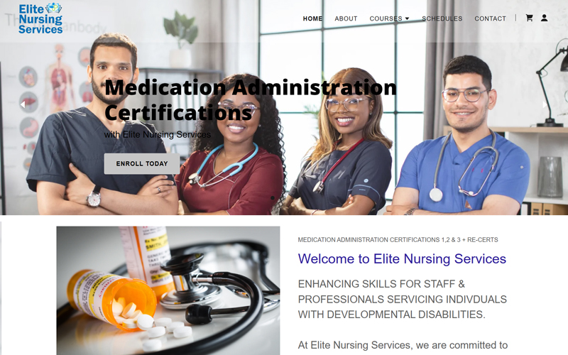 Elite Nursing Services Website Screenshot