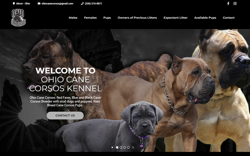 Ohio Cane Corsos Website Screenshot